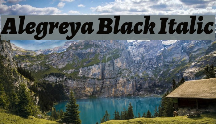 Alegreya Black Italic Font examples