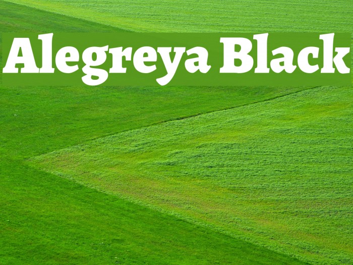 Alegreya Black Font examples