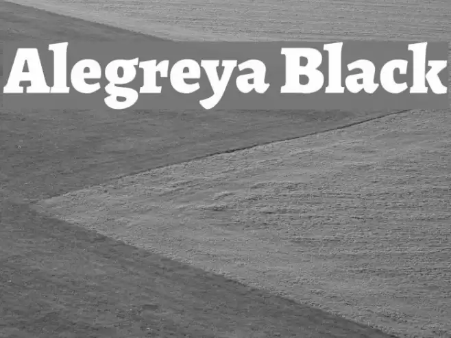 Alegreya Black Font examples