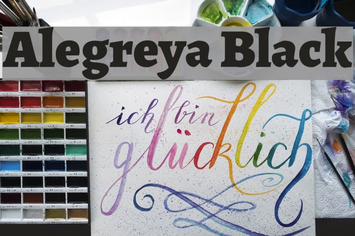 Alegreya Black Font examples