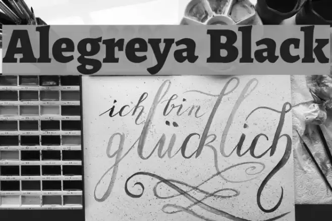 Alegreya Black Font examples