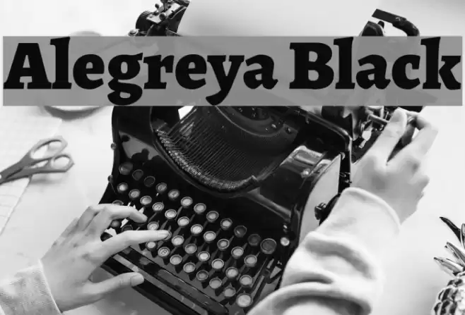 Alegreya Black Font examples