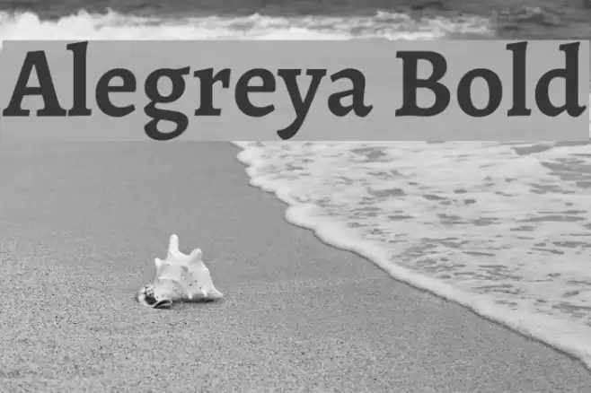 Alegreya Bold Font examples