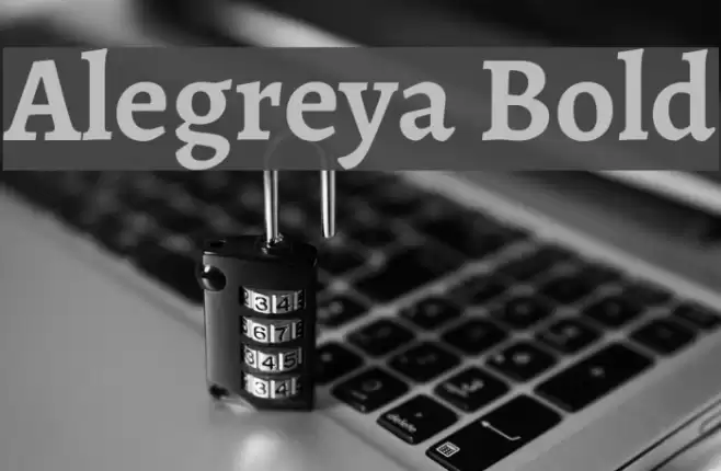 Alegreya Bold Font examples