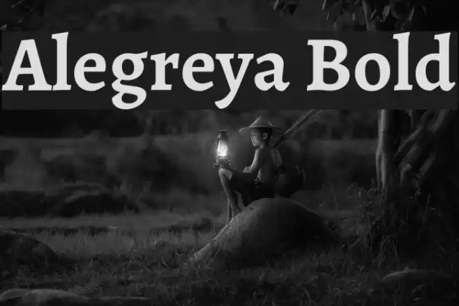 Alegreya Bold Font examples