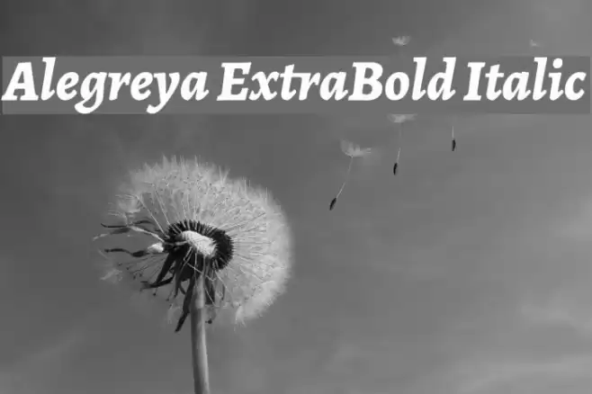 Alegreya ExtraBold Italic फ़ॉन्ट examples