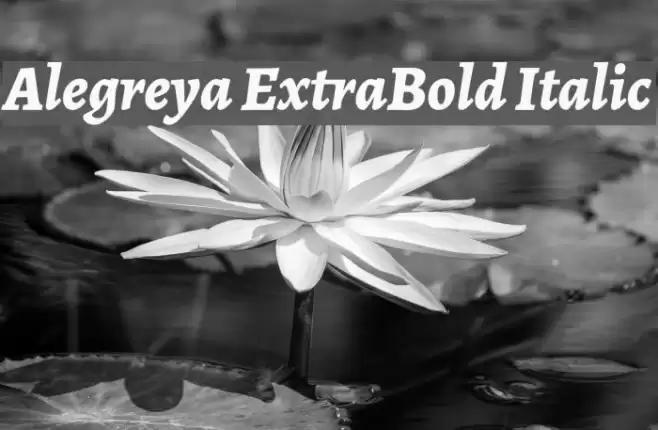 Alegreya ExtraBold Italic फ़ॉन्ट examples