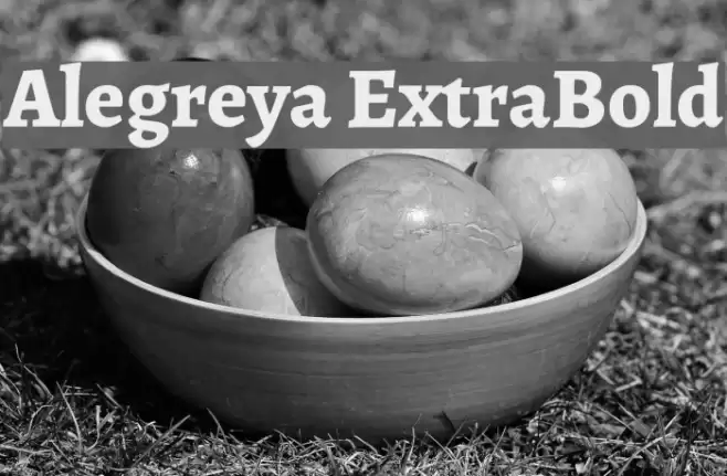 Alegreya ExtraBold Font examples