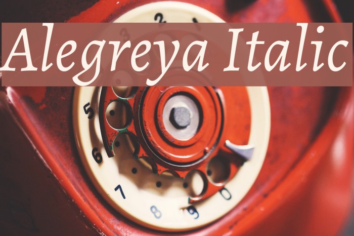 Alegreya Italic Font examples