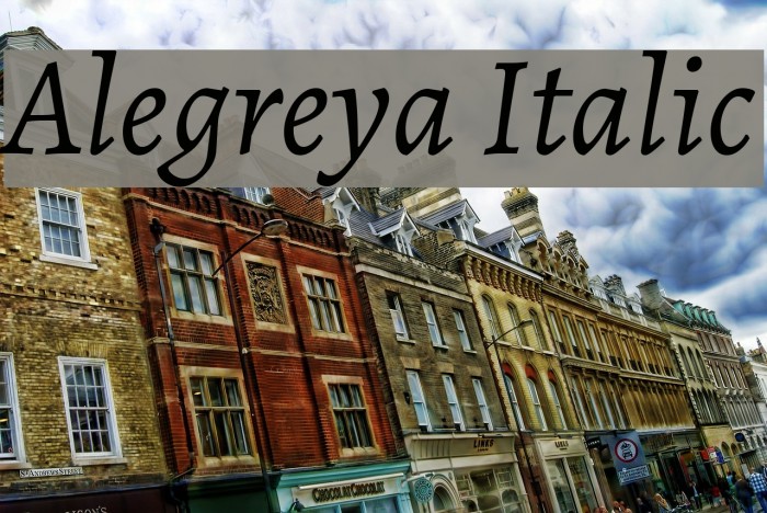 Alegreya Italic Font examples