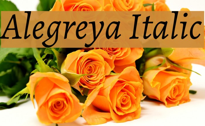 Alegreya Italic Font examples