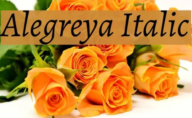 Alegreya Italic Example 3