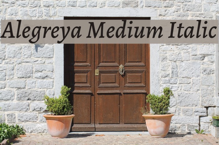 Alegreya Medium Italic Font examples