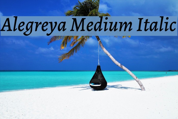 Alegreya Medium Italic Font examples