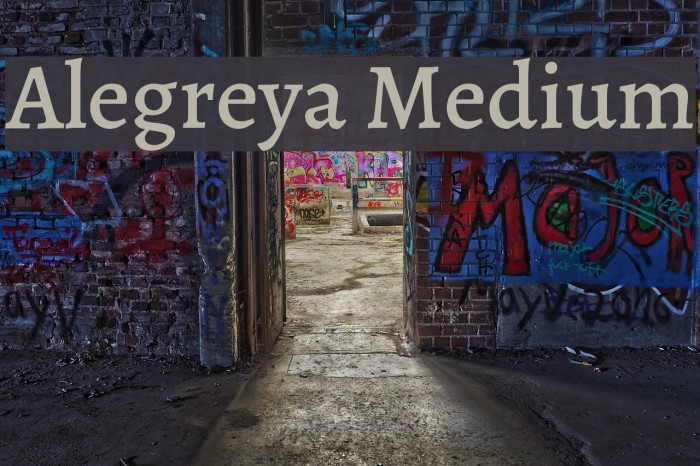 Alegreya Medium Font examples
