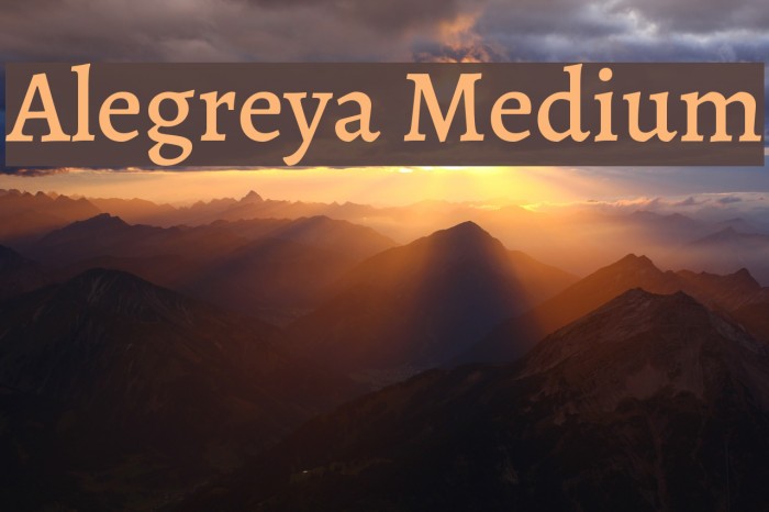 Alegreya Medium Font examples