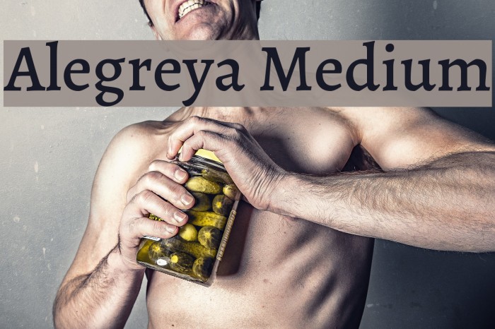 Alegreya Medium Font examples