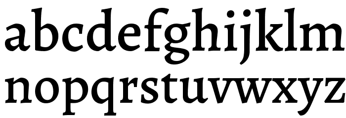 Alegreya Medium Font LOWERCASE