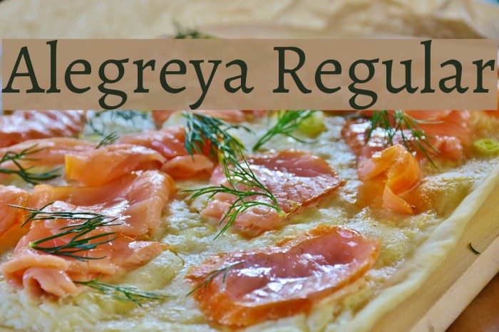 Alegreya Regular Font examples