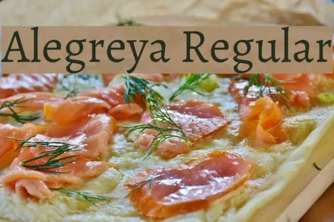 Alegreya Regular Example 3