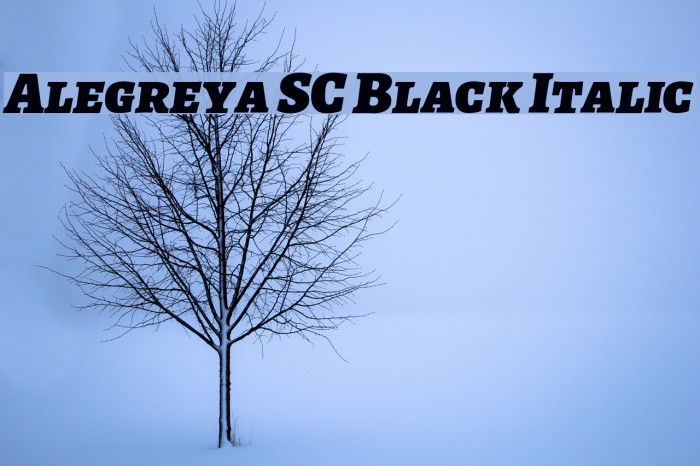Alegreya SC Black Italic Font examples