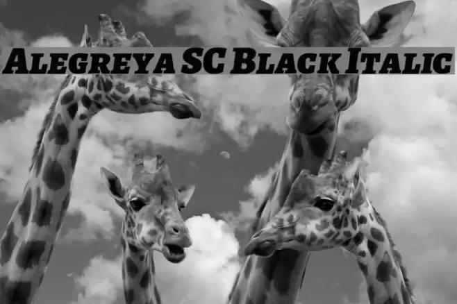 Alegreya SC Black Italic Font examples