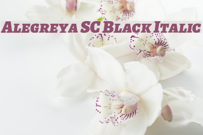 Alegreya SC Black Italic Font examples