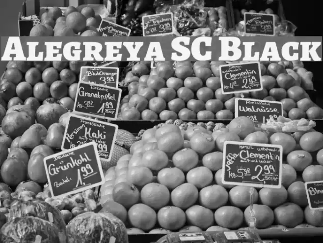 Alegreya SC Black Font examples