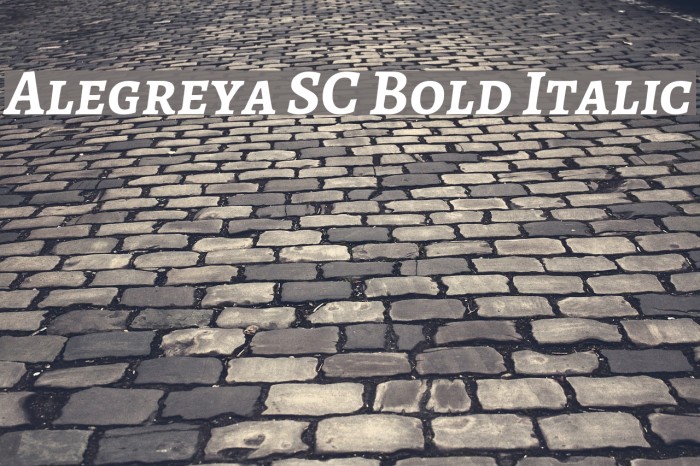 Alegreya SC Bold Italic Font examples