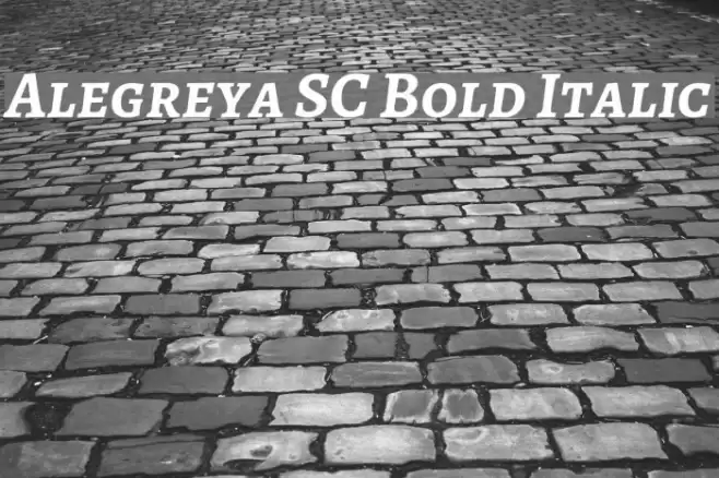 Alegreya SC Bold Italic Font examples
