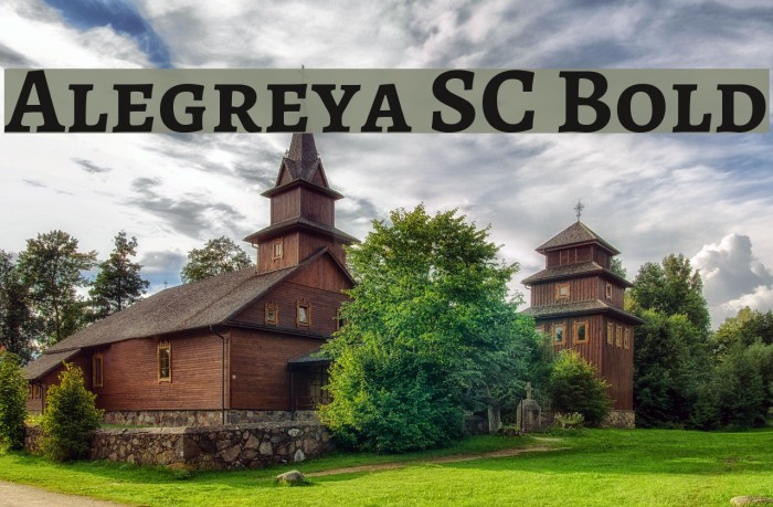 Alegreya SC Bold Example 1