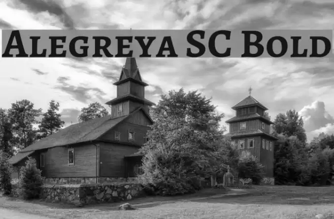 Alegreya SC Bold Font examples