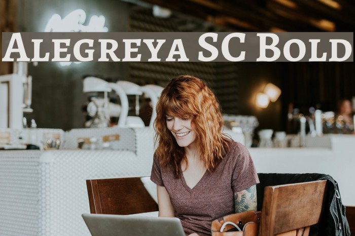 Alegreya SC Bold Example 2