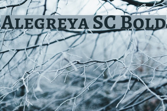 Alegreya SC Bold Example 3