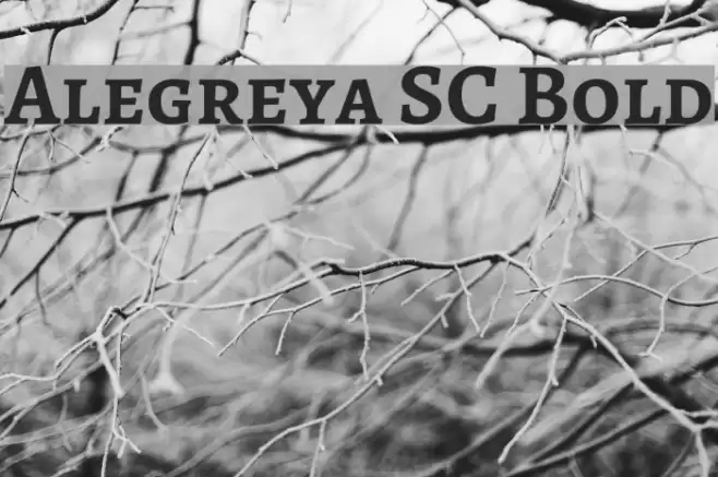 Alegreya SC Bold Font examples