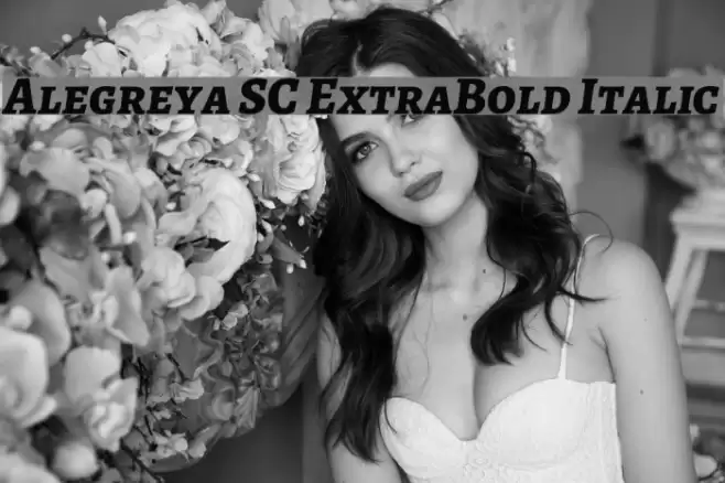Alegreya SC ExtraBold Italic Font examples