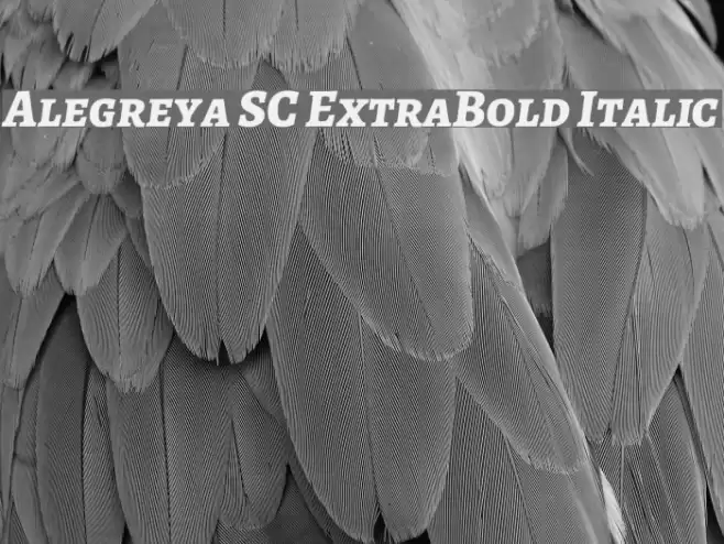 Alegreya SC ExtraBold Italic Font examples