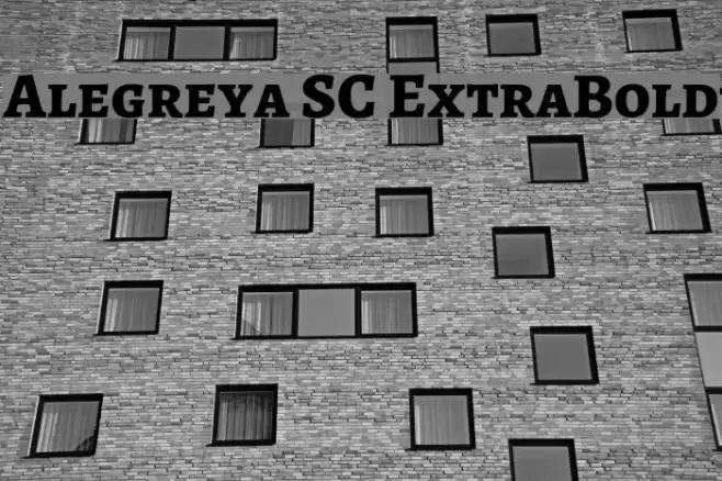 Alegreya SC ExtraBold Font examples
