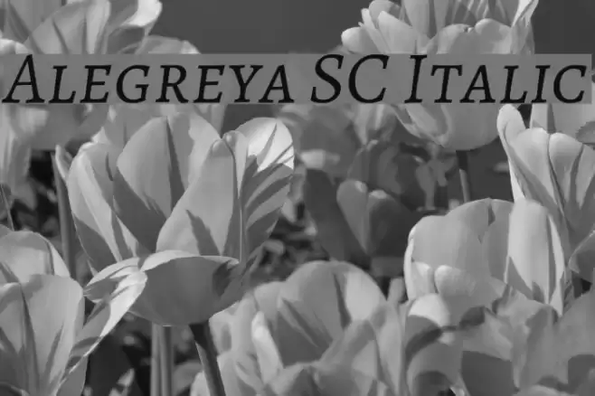Alegreya SC Italic Font examples