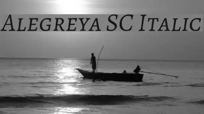 Alegreya SC Italic Font examples