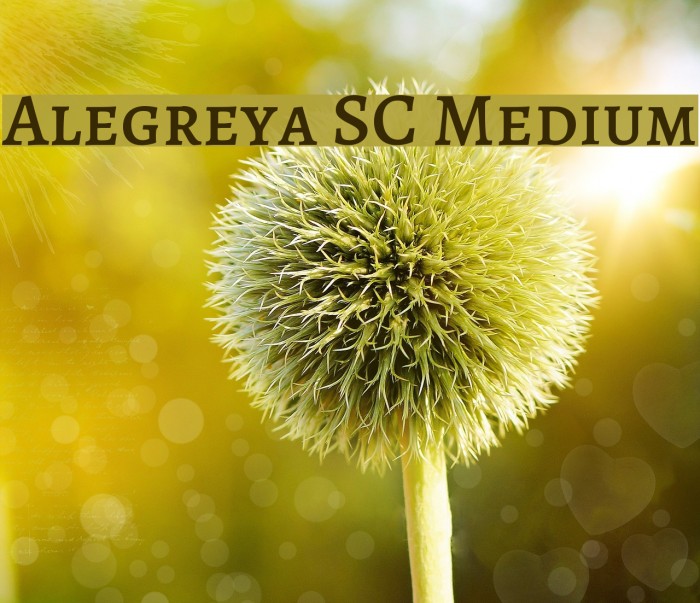 Alegreya SC Medium Font examples