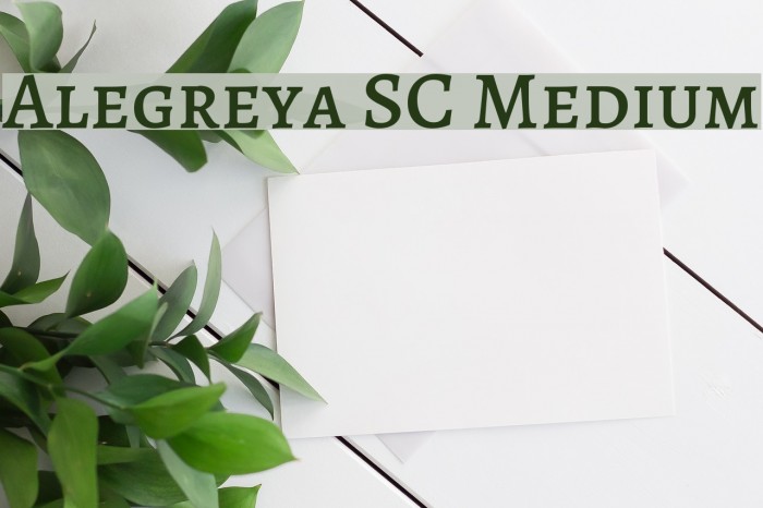 Alegreya SC Medium Font examples