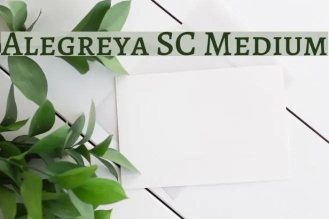 Alegreya SC Medium Example 2