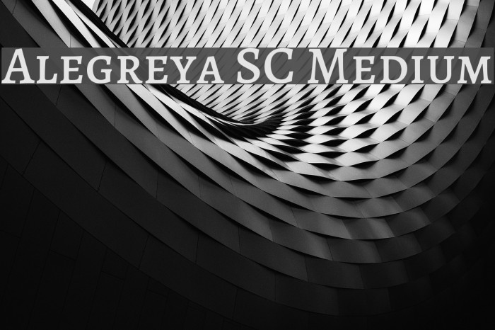 Alegreya SC Medium Font examples