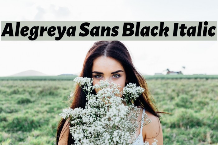 Alegreya Sans Black Italic Font examples