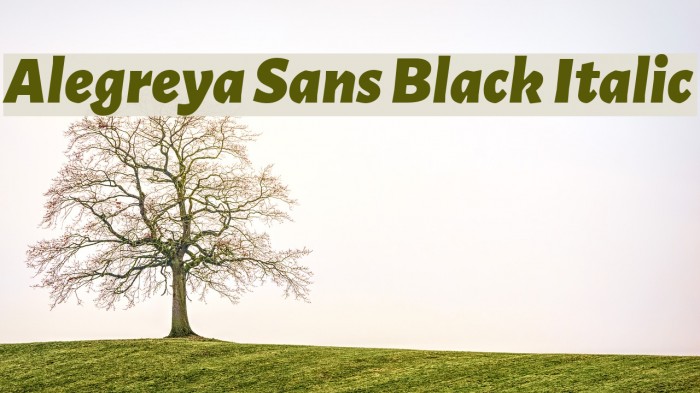 Alegreya Sans Black Italic Font examples