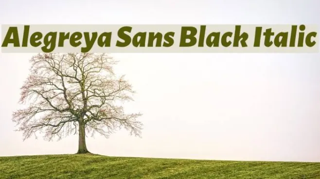 Alegreya Sans Black Italic Example 3
