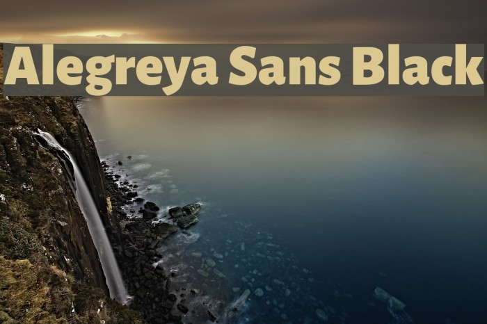 Alegreya Sans Black Example 1