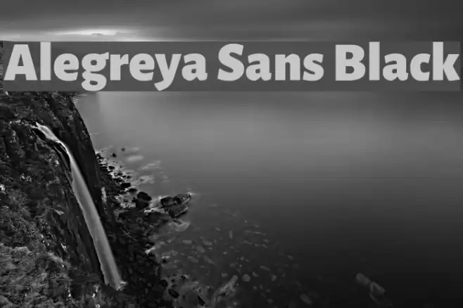 Alegreya Sans Black Font examples