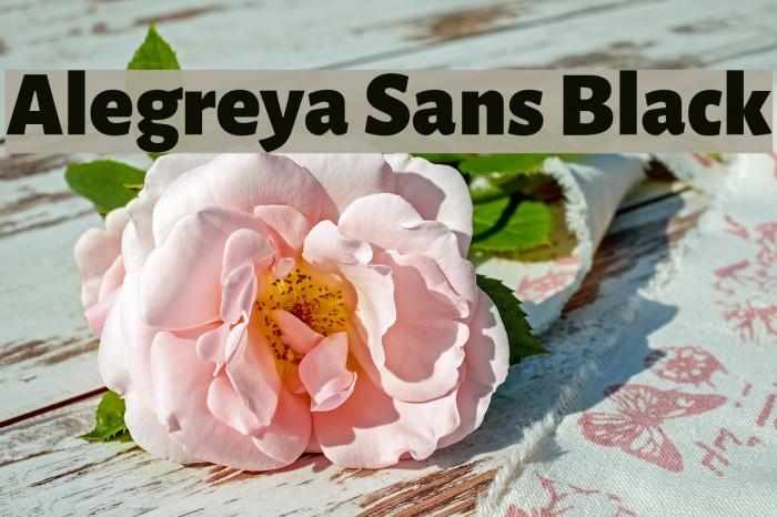 Alegreya Sans Black Example 2